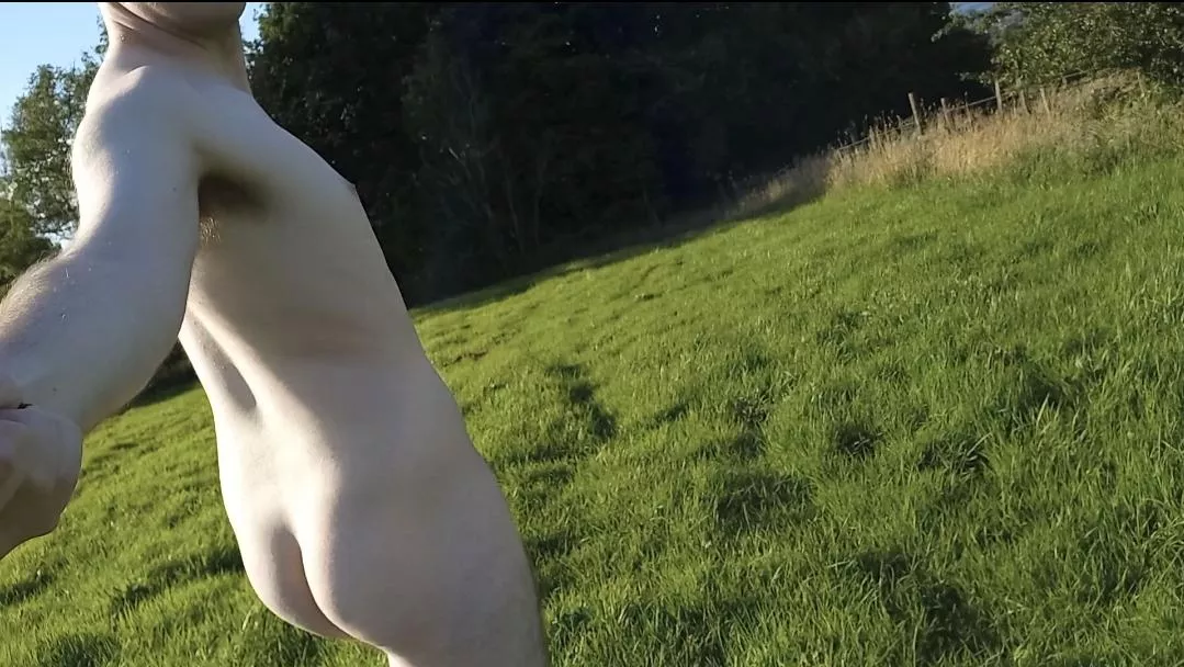 Exhilarating field walk 2