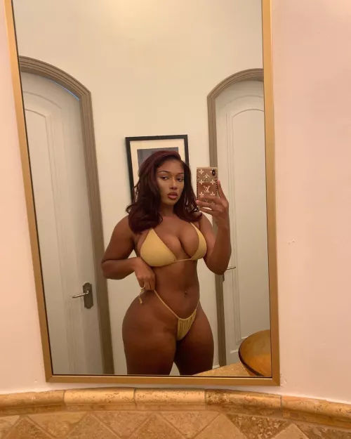 Megan Thee Stallion is too much