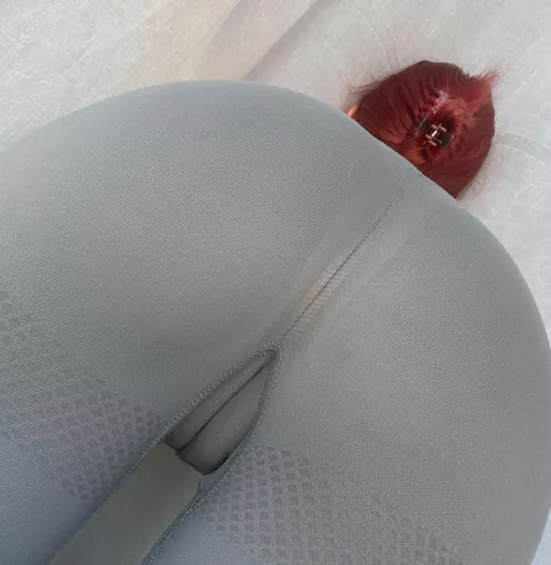 tell me if you have a good view of my camel's foot