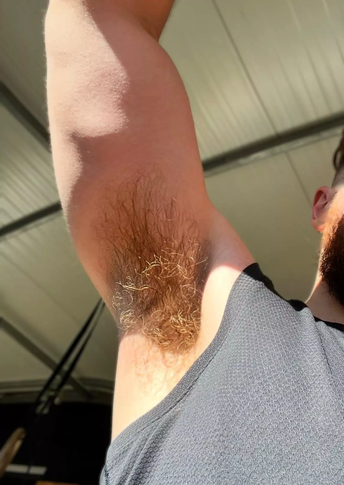 Took this pit while the sun is out 