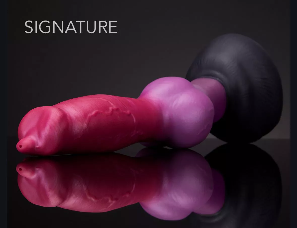 Search/Suche Rex. GER