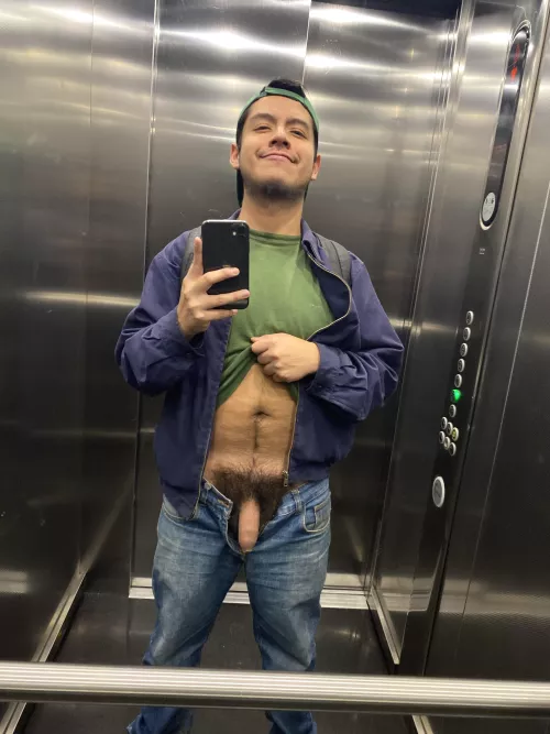 The security camera definitely got a nice view 