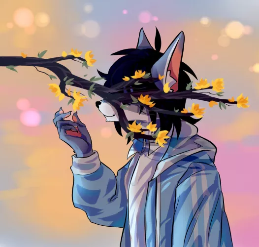 The trees are blooming