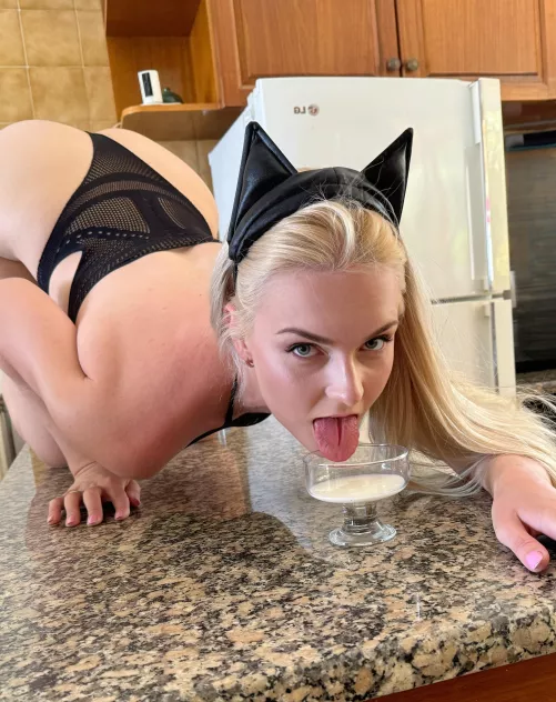 This cat loves other milk