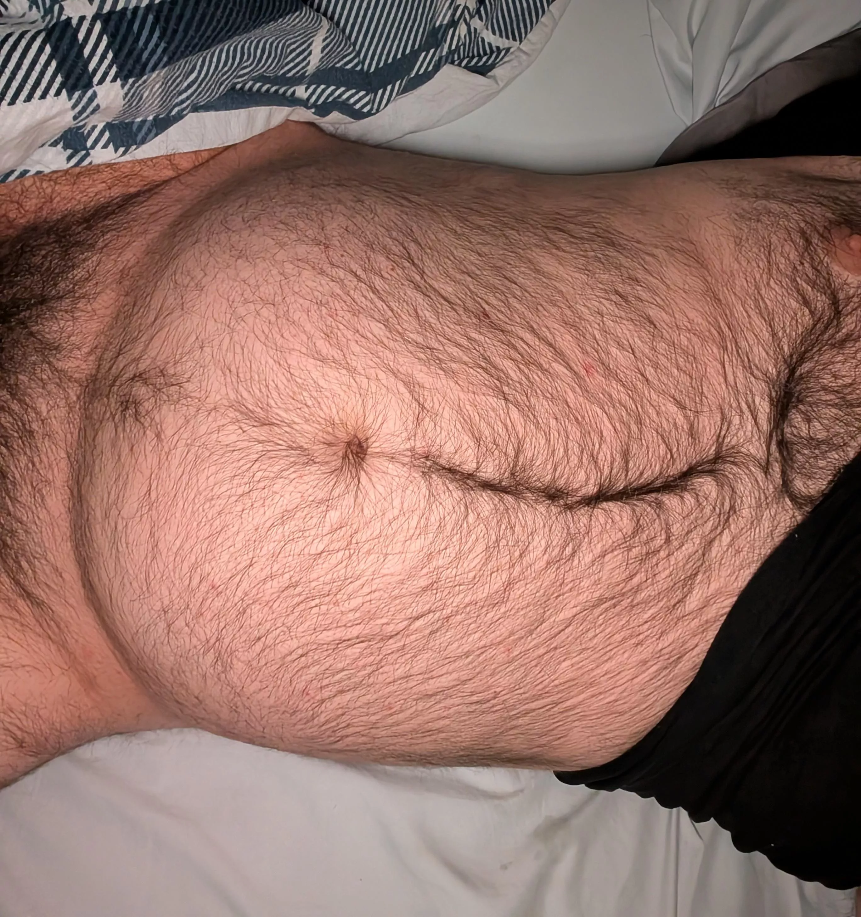 Don't feed the animals 