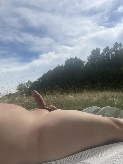 Getting a little sun. 