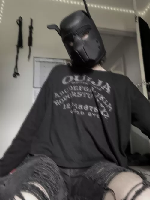 happy spooky month!! 🎃🐾 what are your scary plans for october?