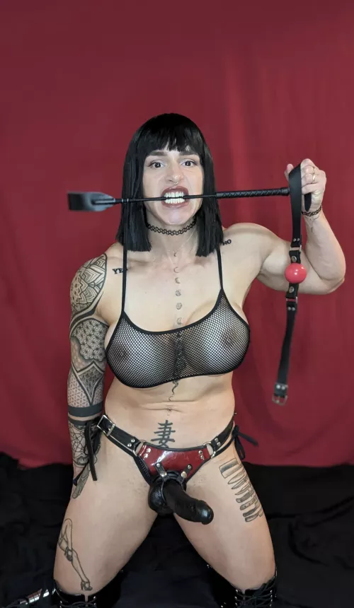 Ready for you to submit... Or be naughty. Either way it's fun for me