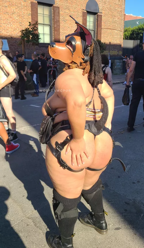 Red Bottom Folsom Pup