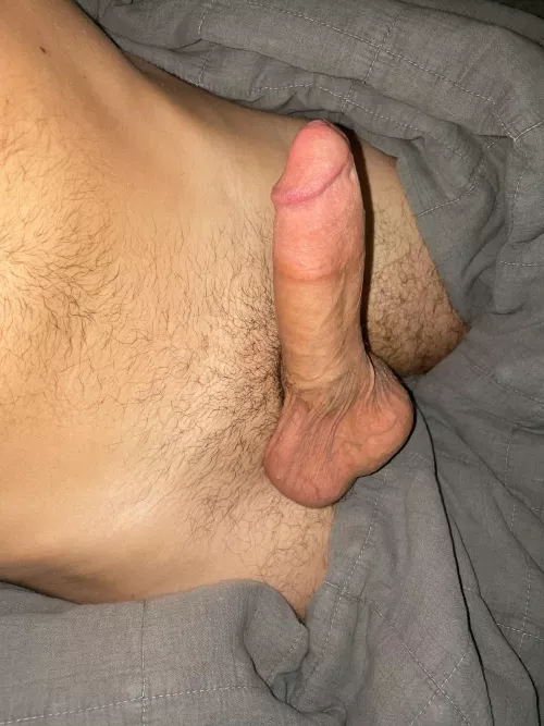 [25] What do you think of my cock bro?