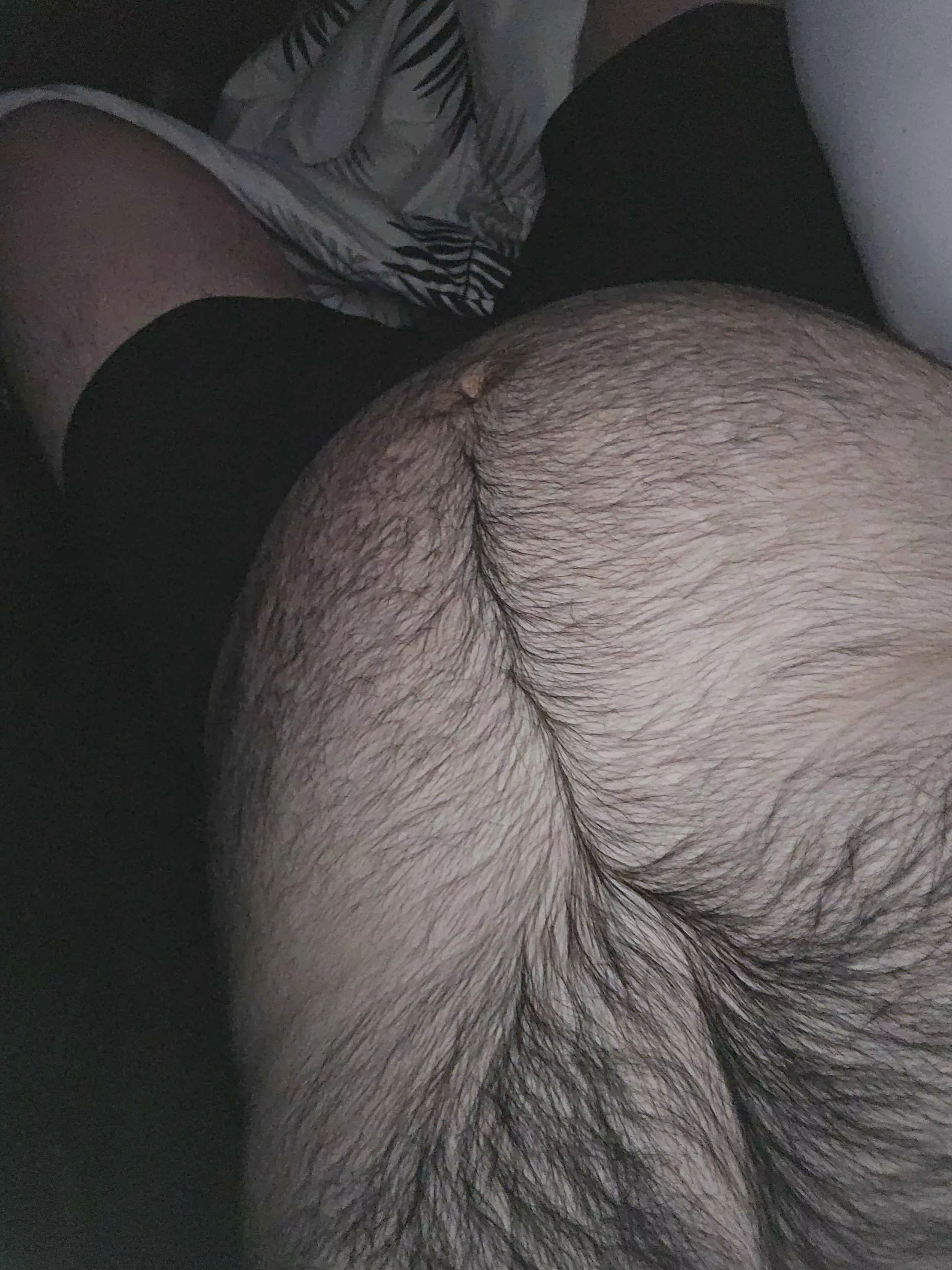 Any Women Who Like Bears??