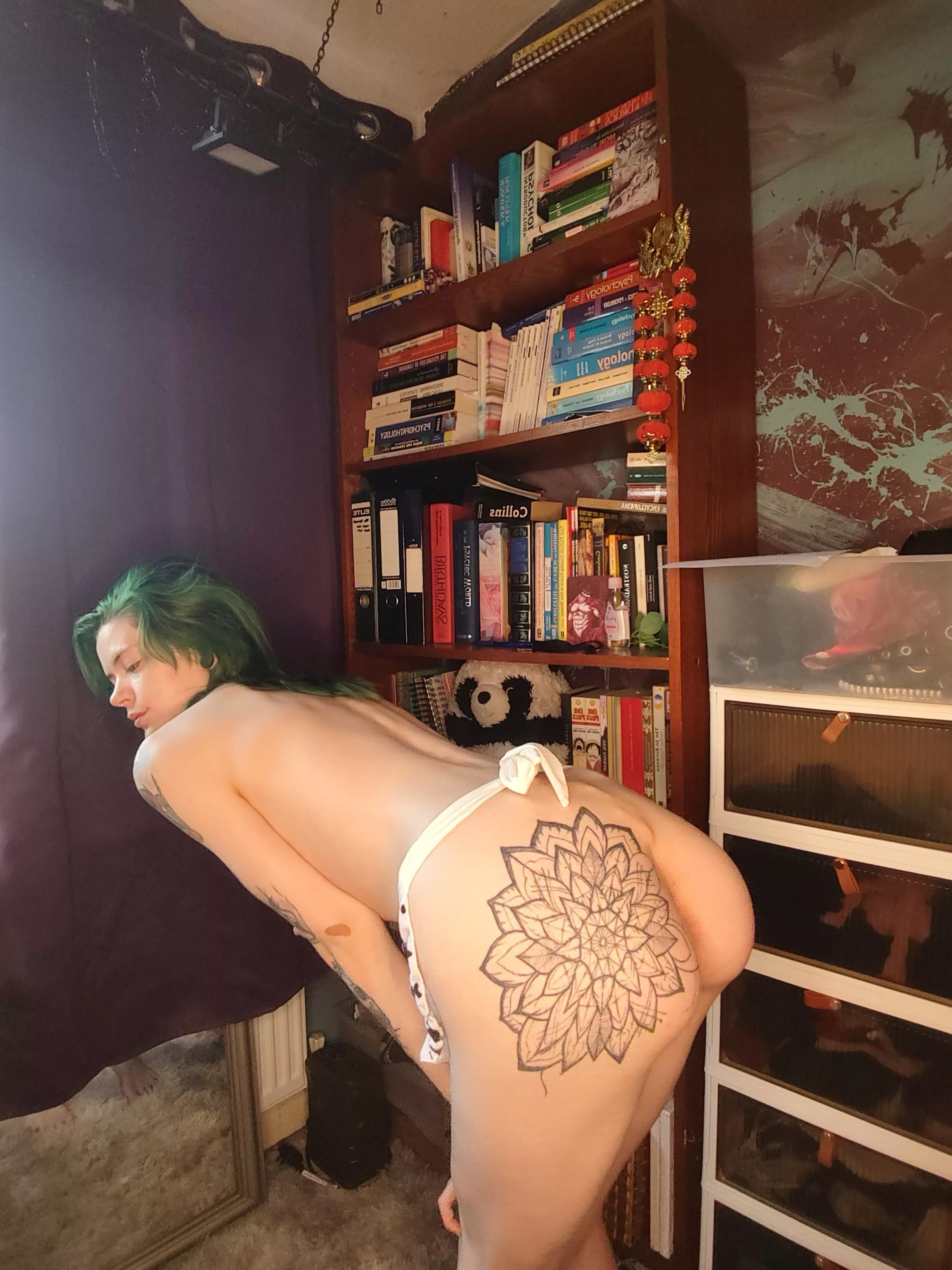 assume the position, like a good girl