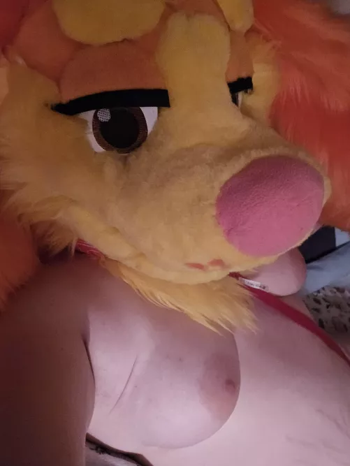 I showed you my peaches 🍑 (pls respond) 