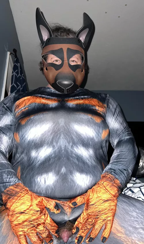 Love to show you what a proven stud I am 🐶🥵