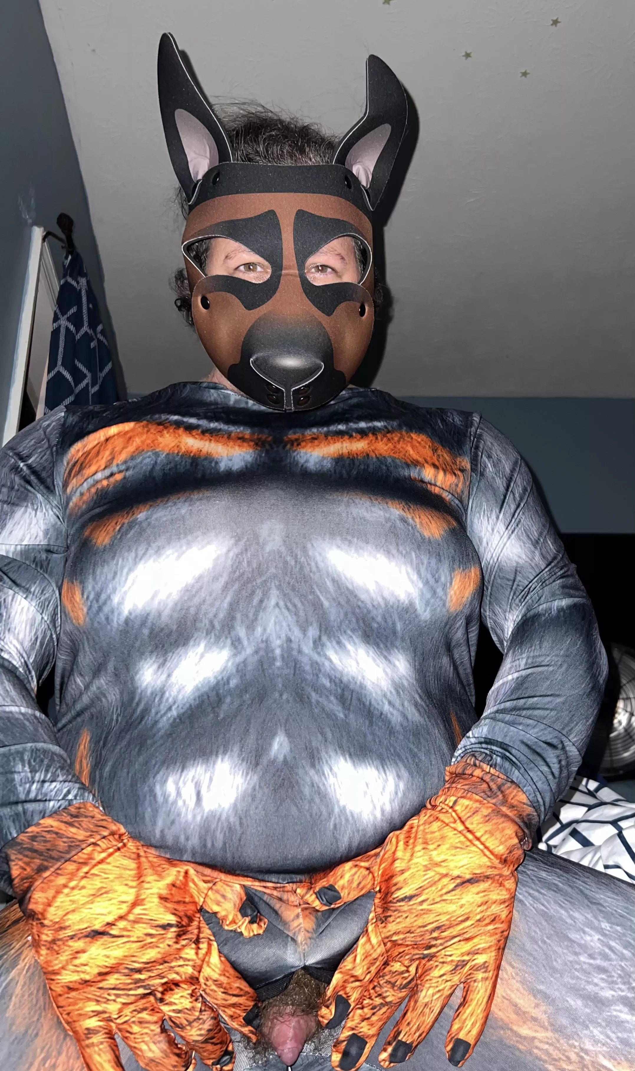 Love to show you what a proven stud I am 🐶🥵