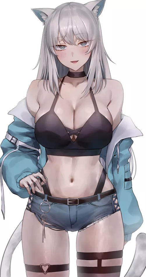 Neko Midriff 
