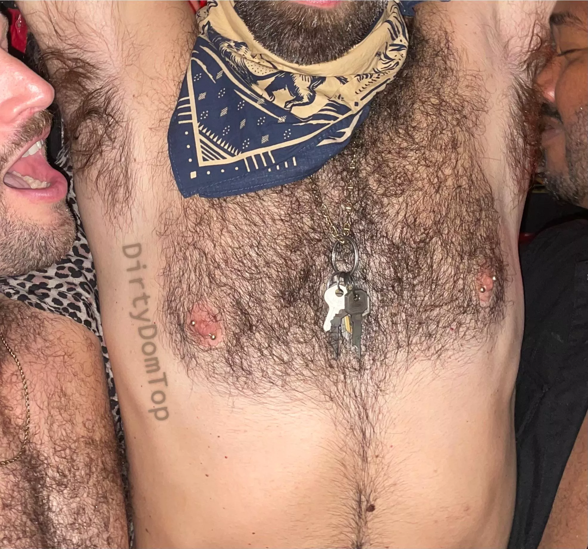 Pit lovers are always welcome here