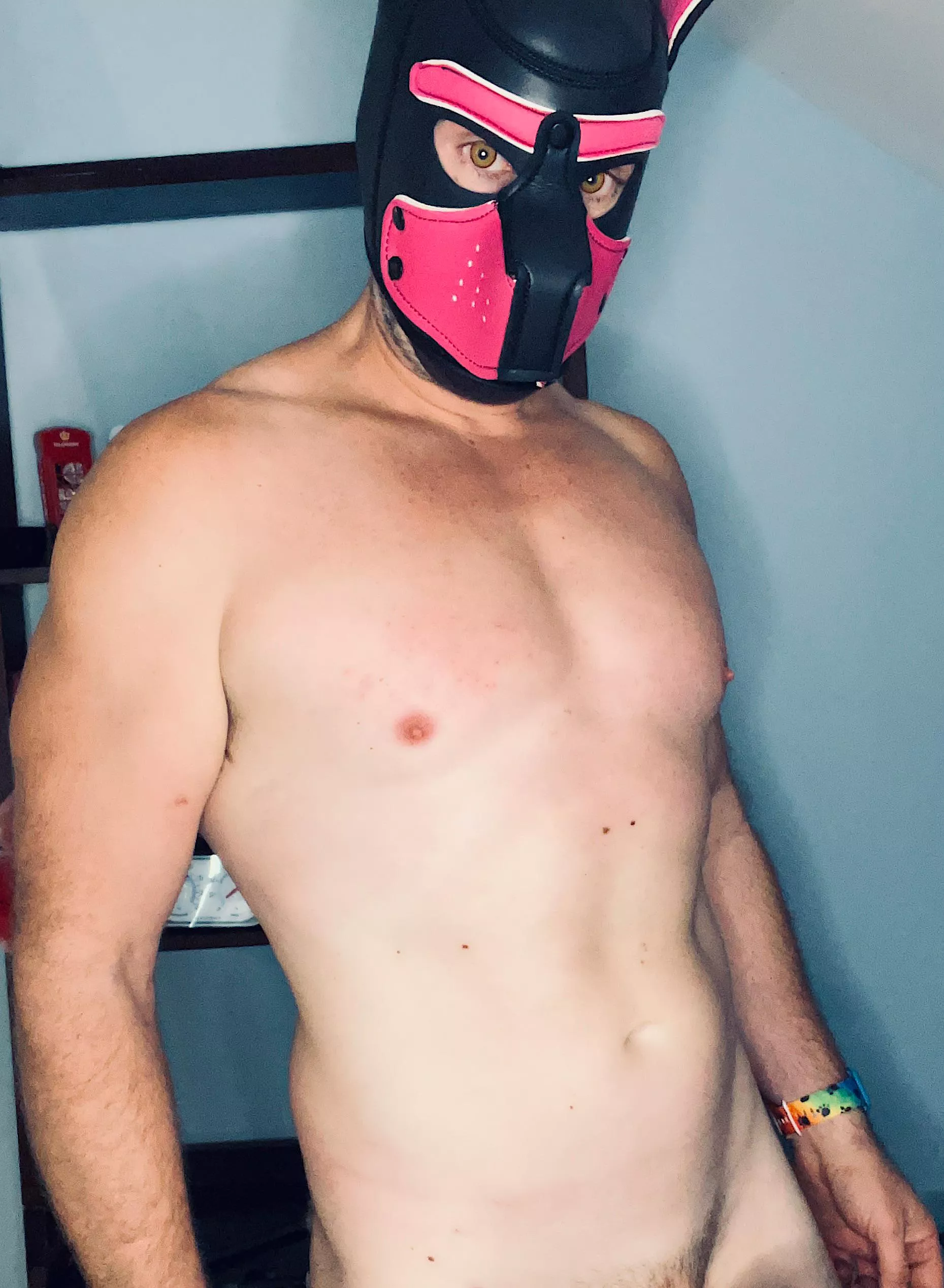 This puppy bites but you’ll like it 