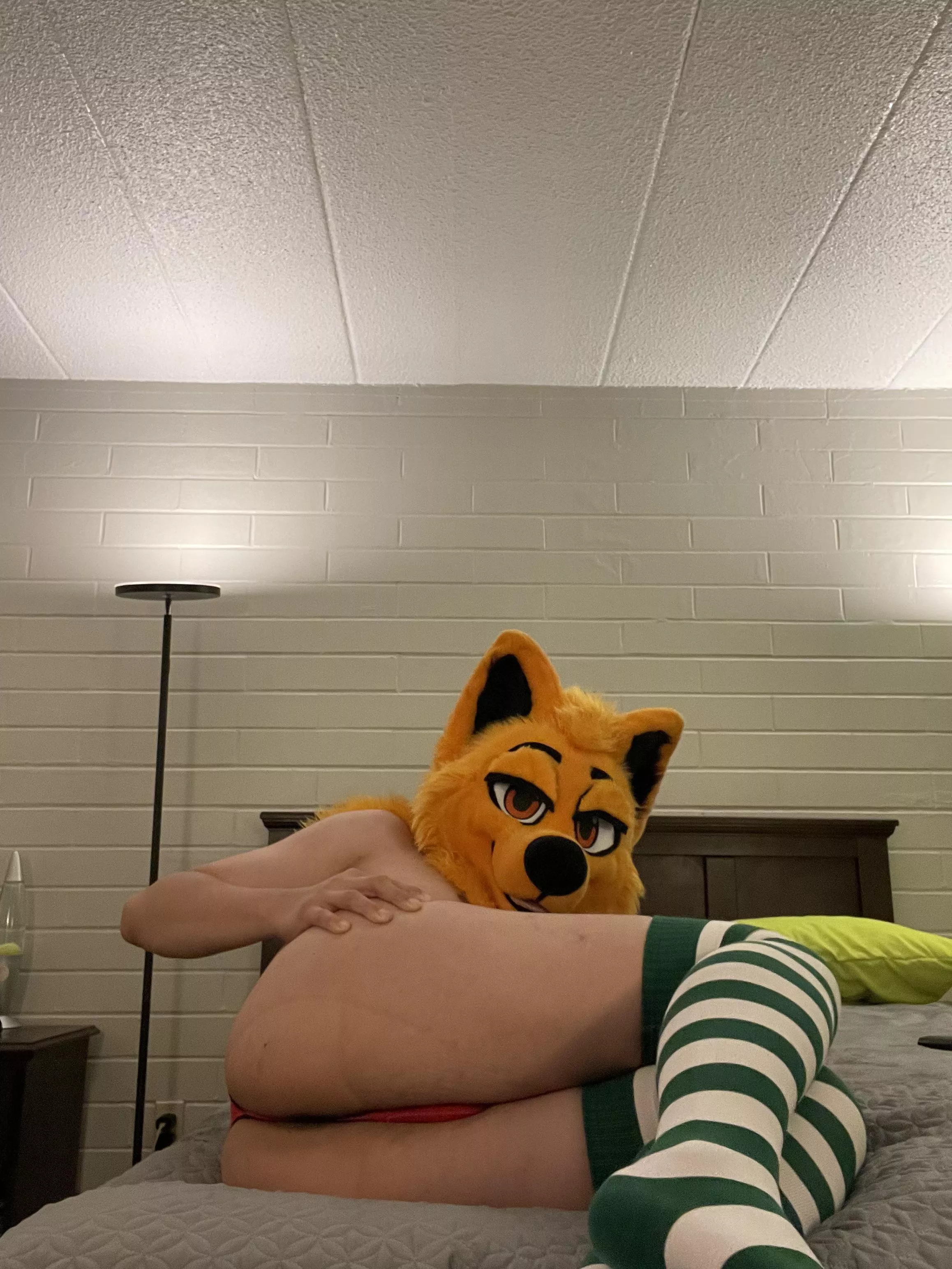 Time for bed, on some soft pillows