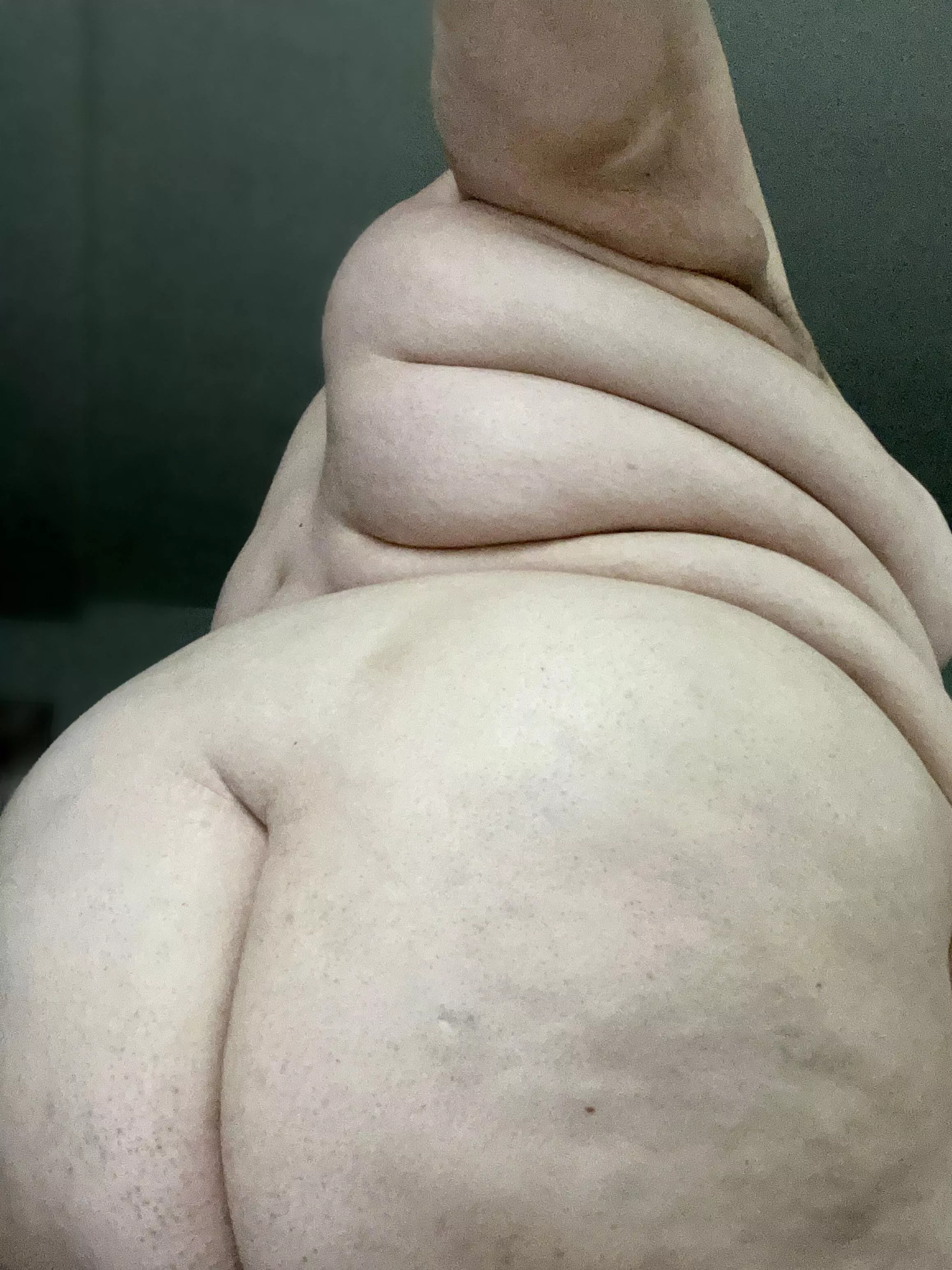 400lbs+ of succulent ass 🍑 