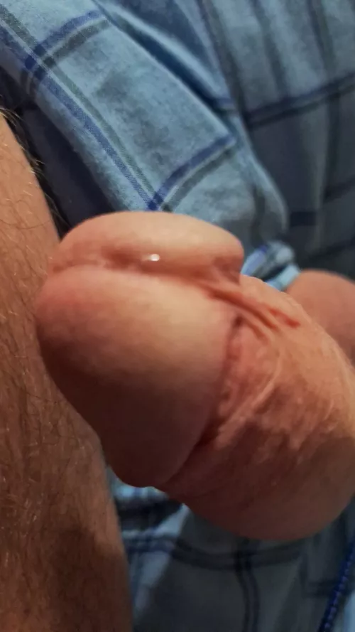 61 still leaking. And sweet tasting. 