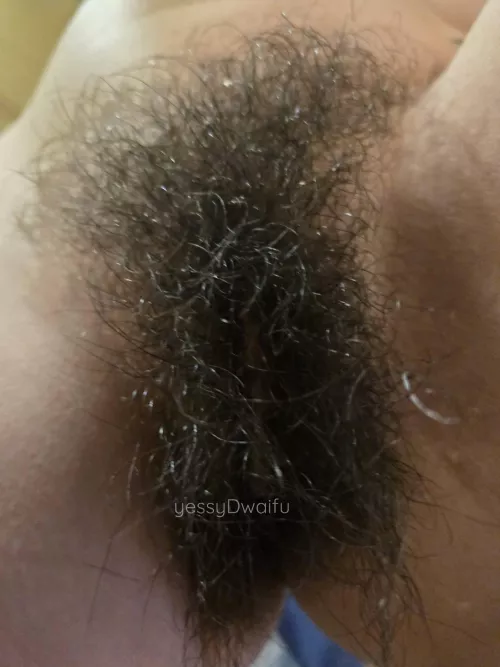 it's pretty wild but also self contained