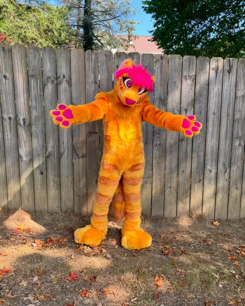 Just got a new fursuit!