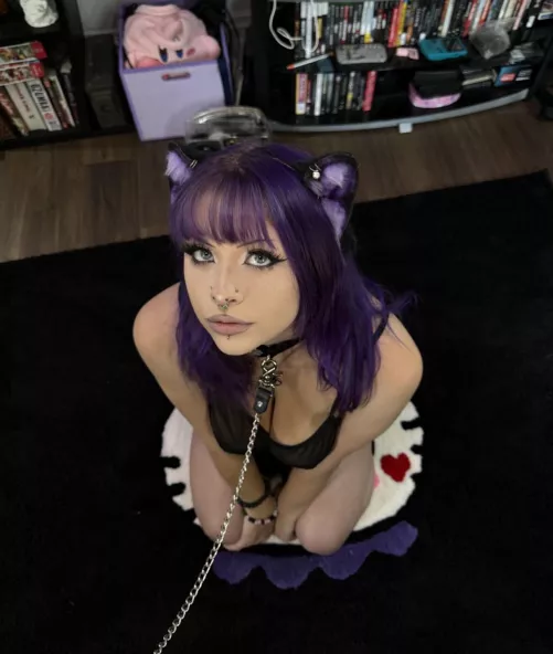 Pain is temporary, submission is forever.