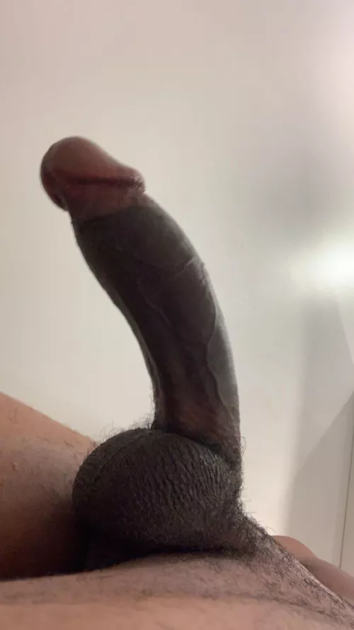 Some veiny cock for you