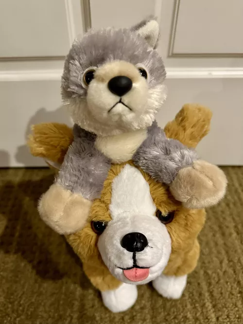 Who needs a daddy when you have stuffies?