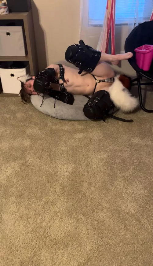 Will you rub puppy’s belly?