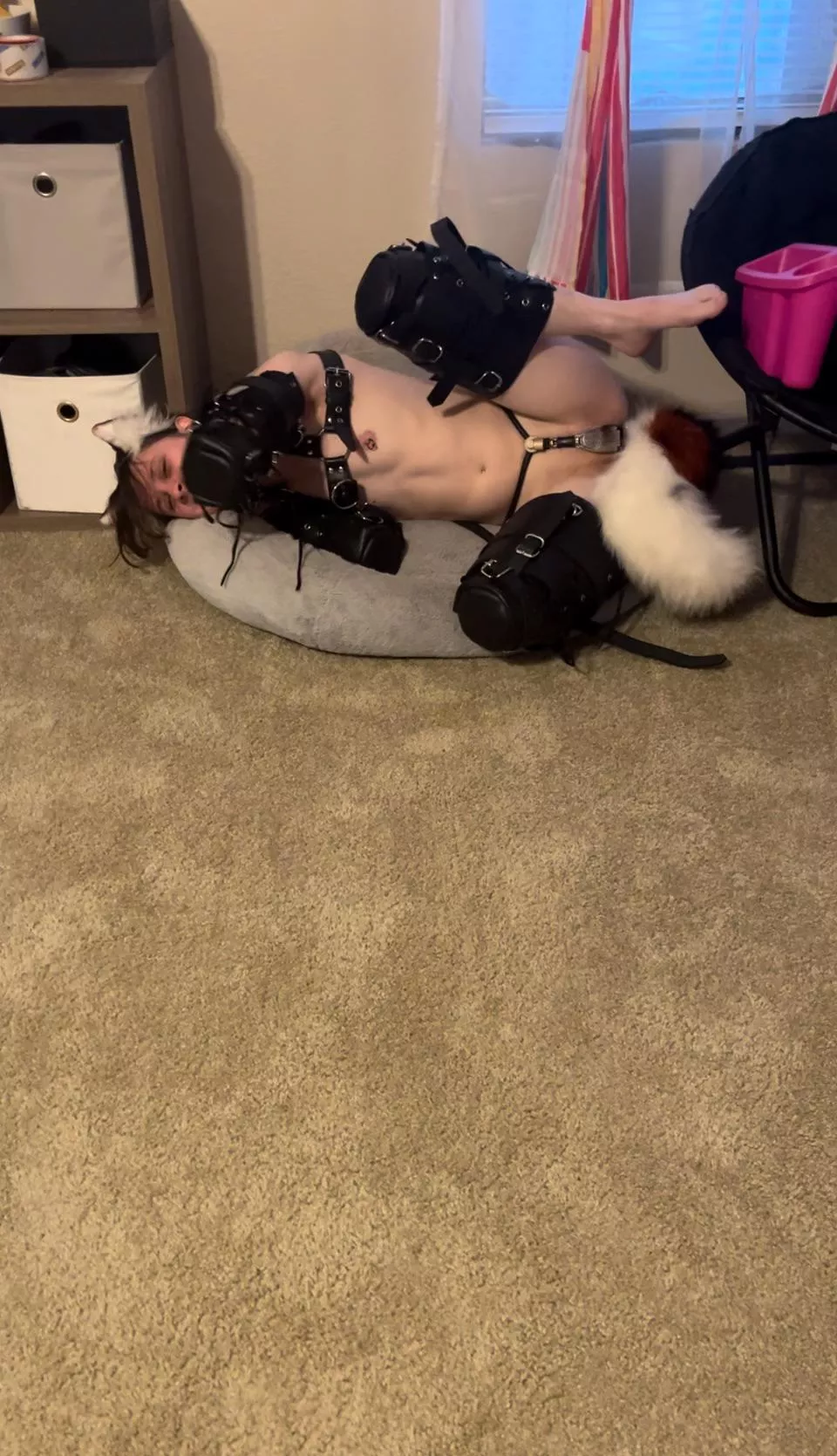 Will you rub puppy’s belly?