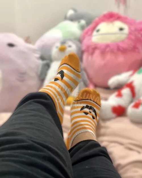 finally pulled out my spooky month socks 🎃