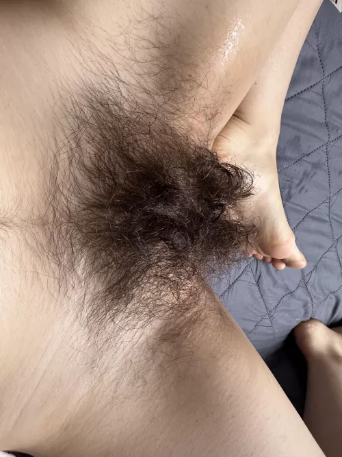 I'm all grown up and ready to show off my bush