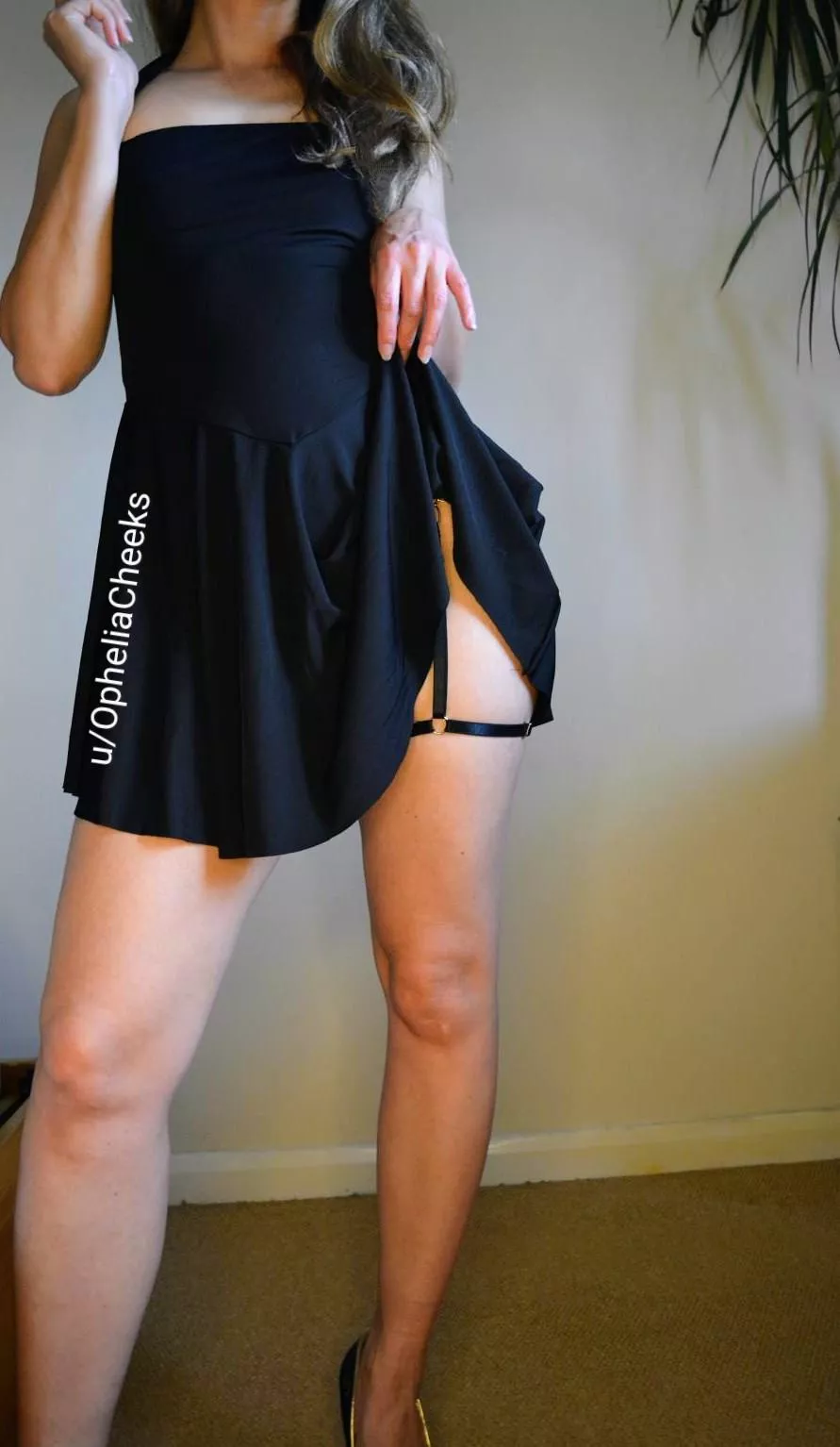 Simple Little Black Dress (F)