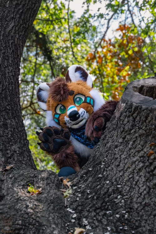 Why Hello There! 👋