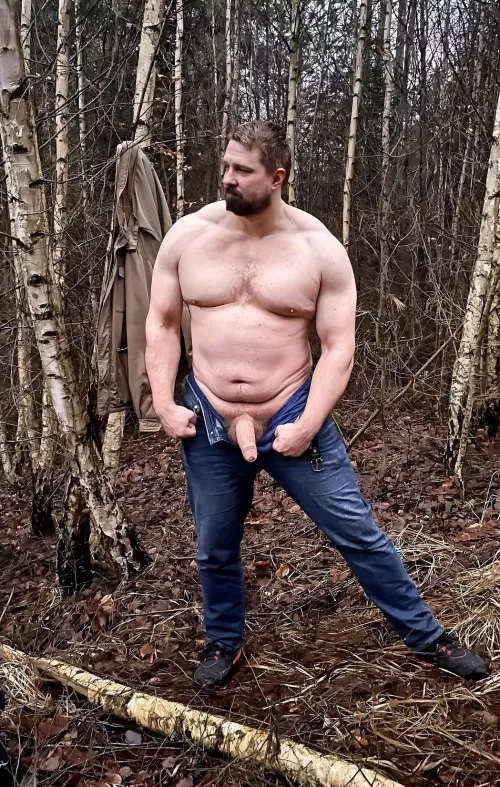 Would you dare to approach wild animals in the forest?