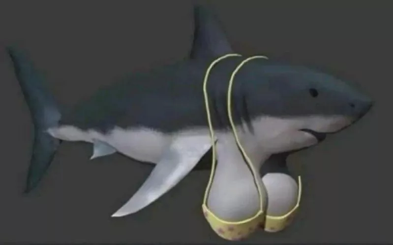 Am I doing this right?