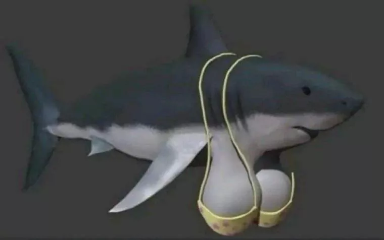 Am I doing this right?