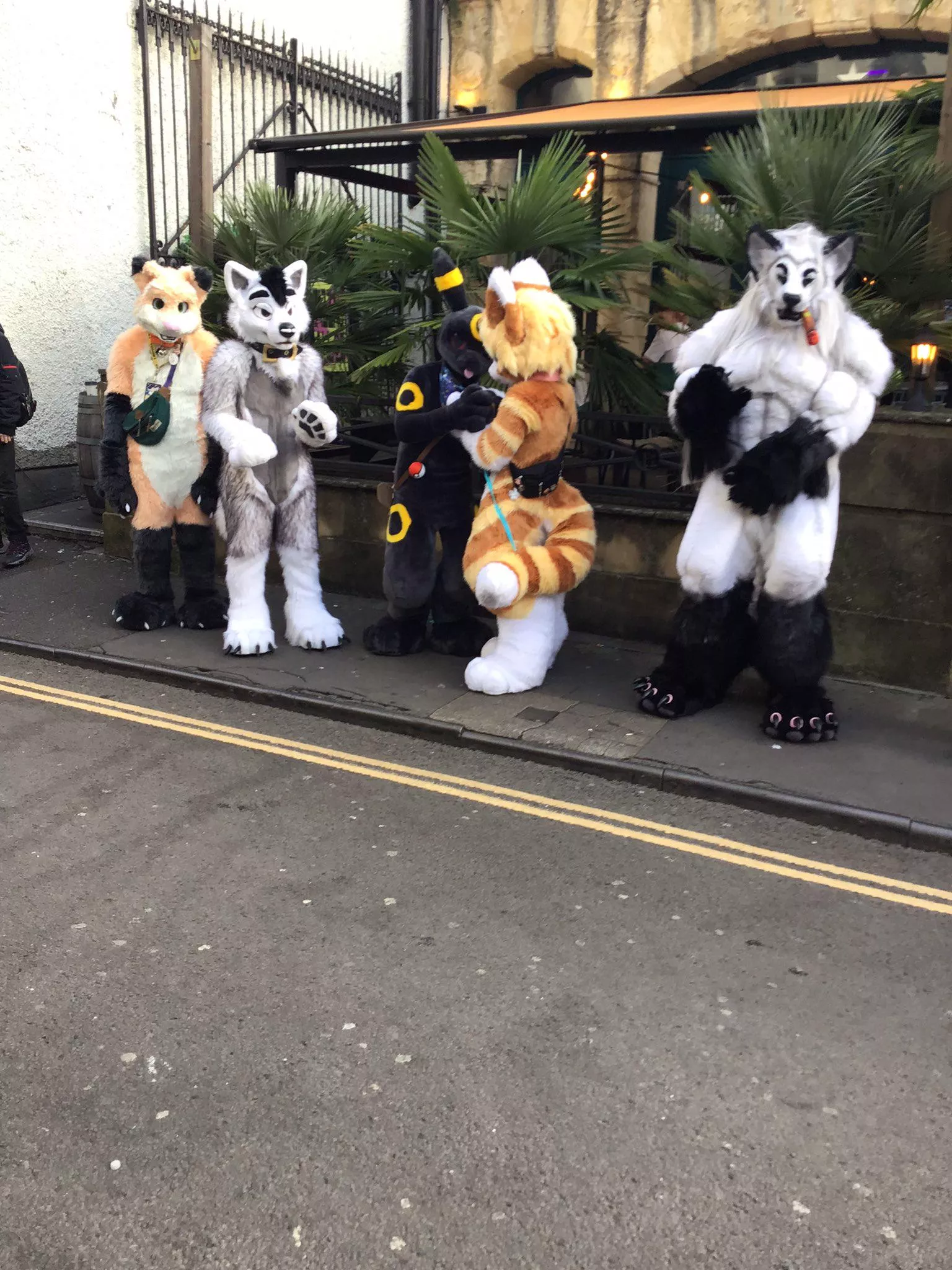 Been seeing fursuiters. Think I'm impressed today.