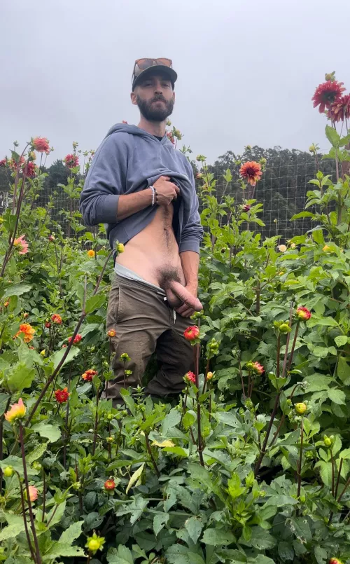 Cock and flowers 