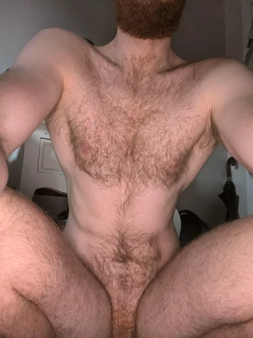 Do you like my fur ? 