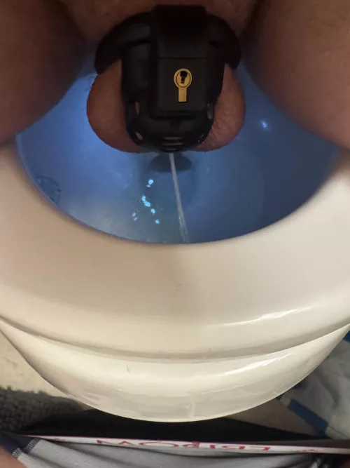 I like not having to hold it when I pee