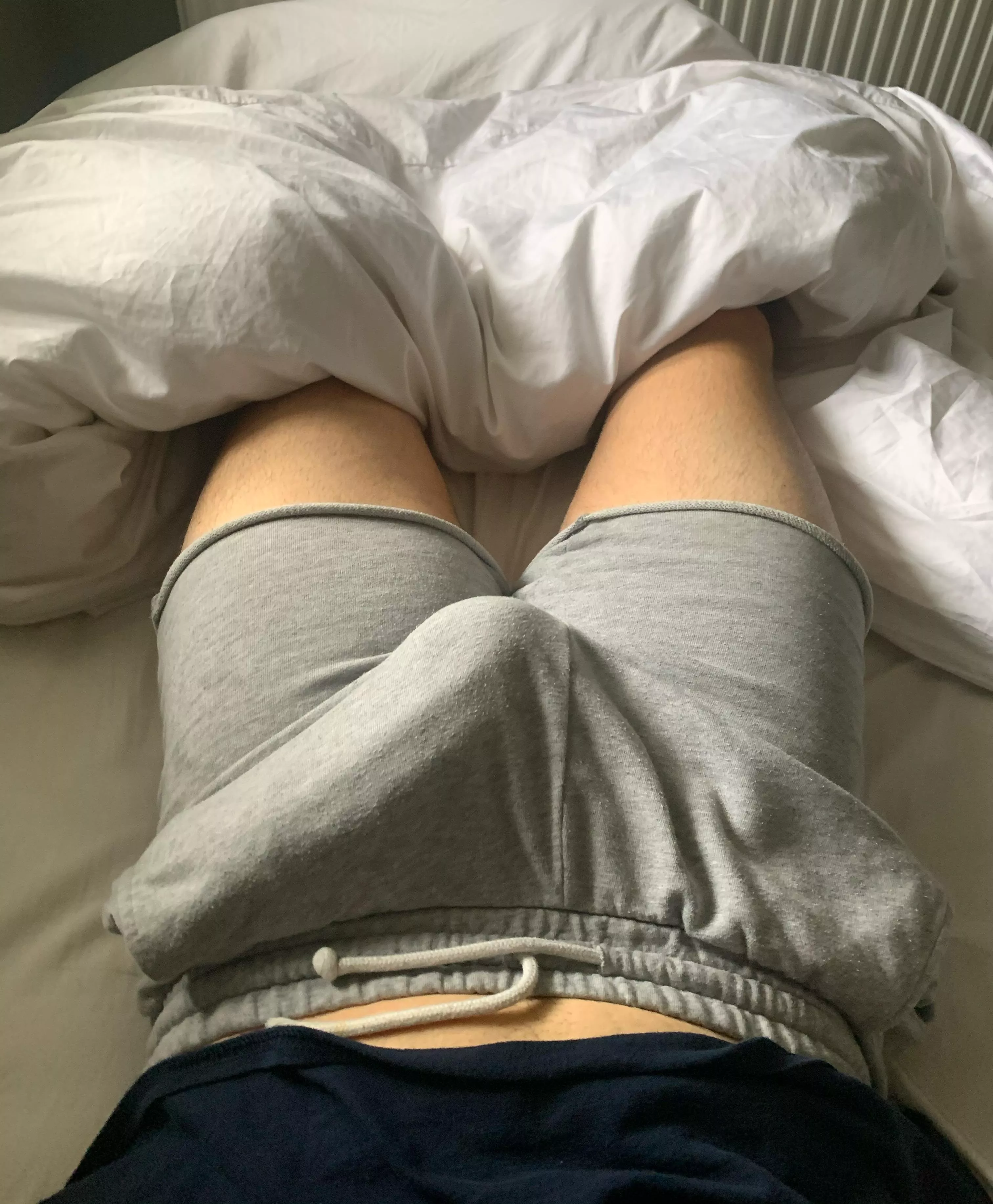 Outlined cock at noon time. Jwu