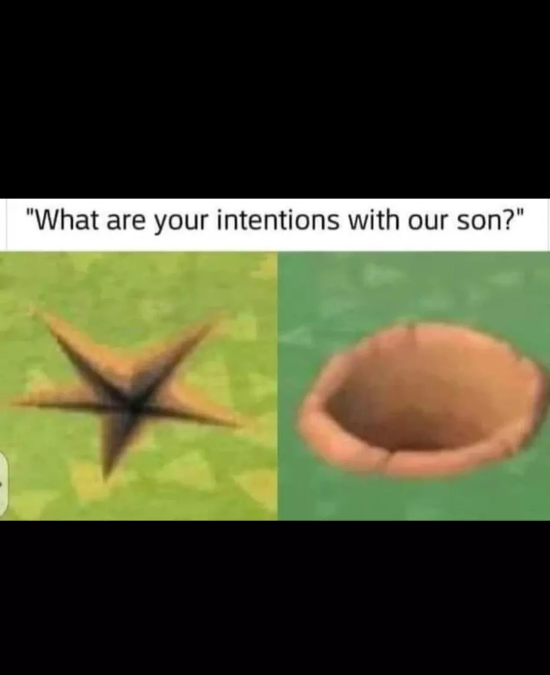 These are my intentions 