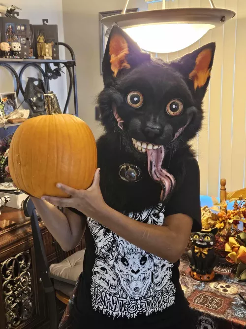 Ti's the season.🎃🐈‍⬛