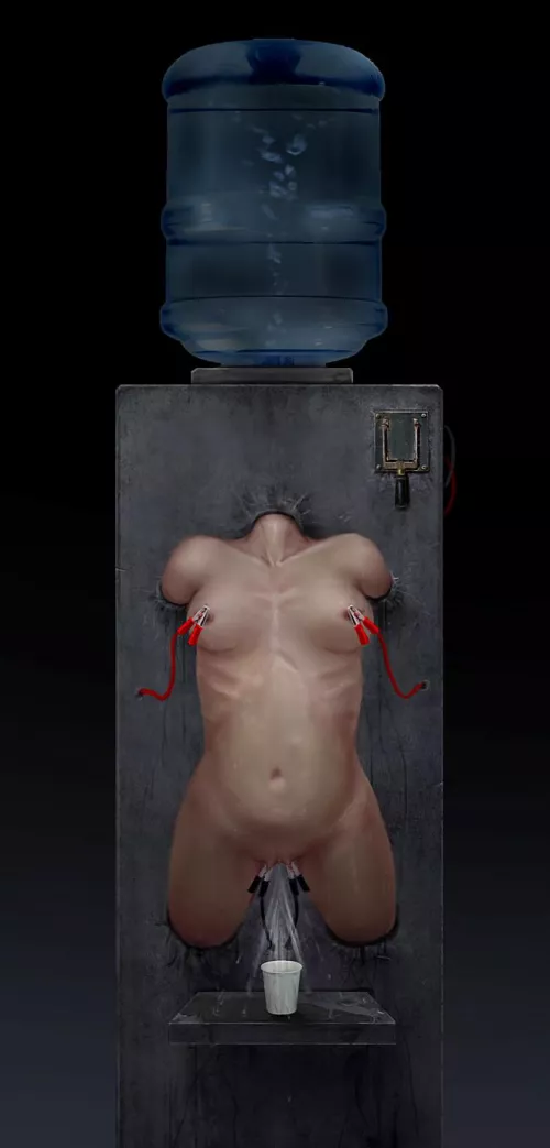 Water purifier