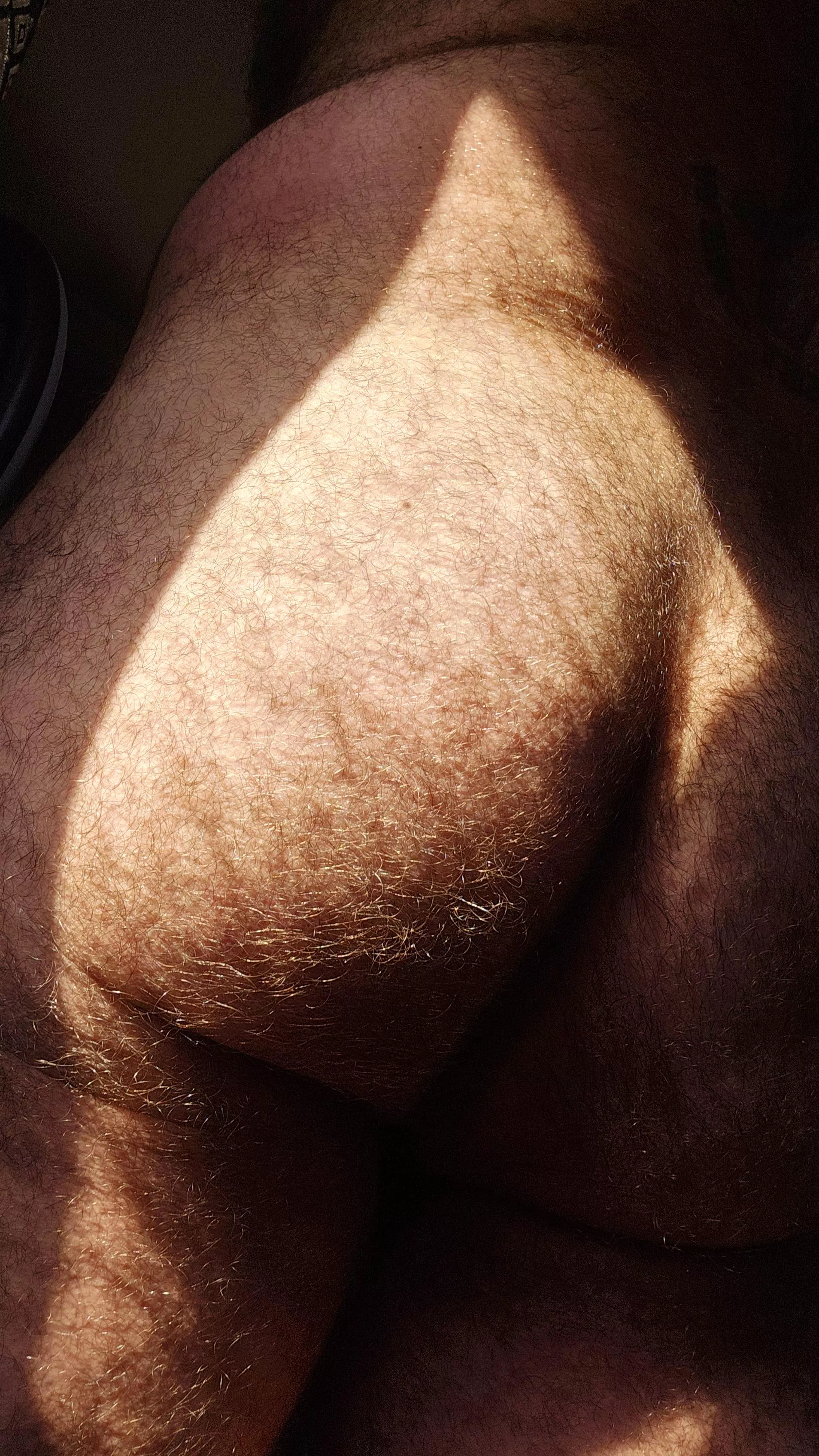 where the sun does shine...