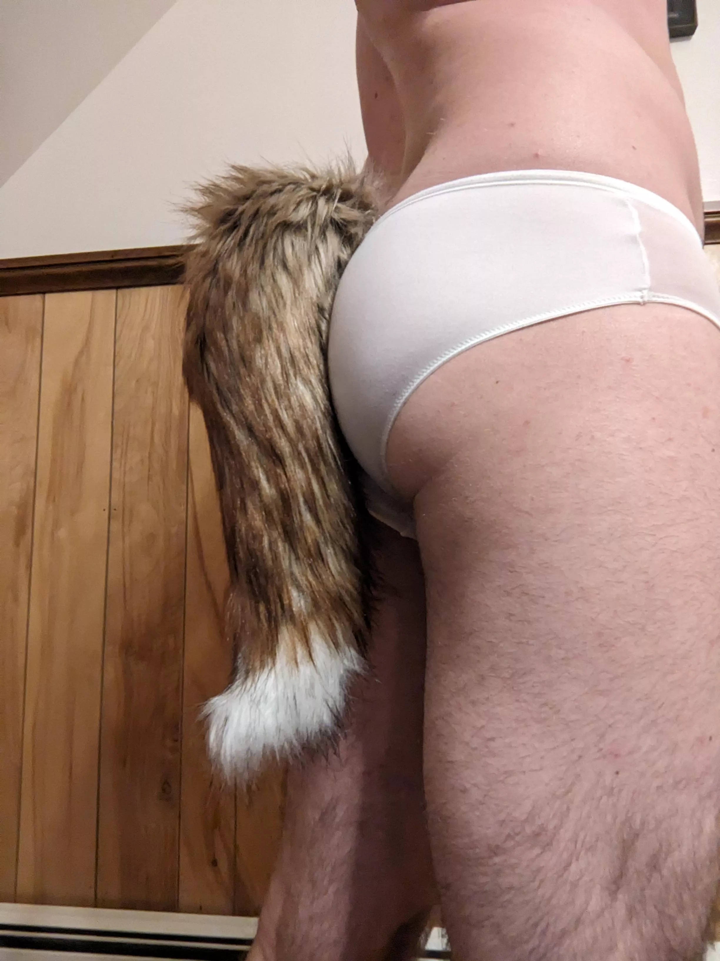 Who likes fox boys in panties?