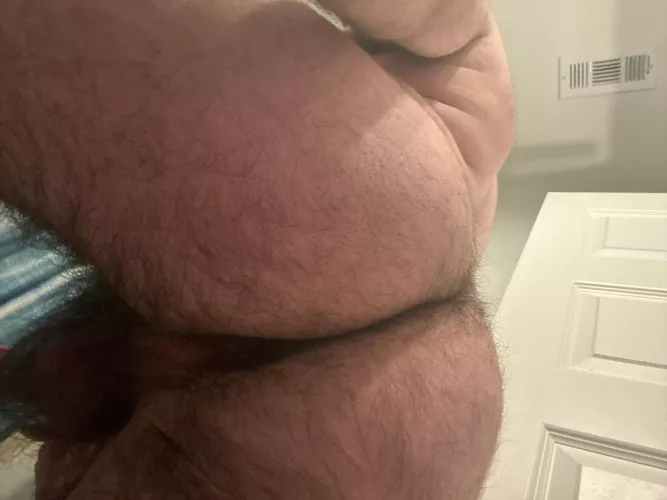 Would you eat my ass 